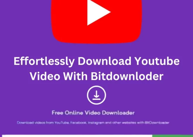 Effortlessly Download Youtube Video With Bitdownloder