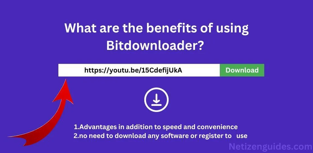 What are the Benefits of Using Bitdownloader