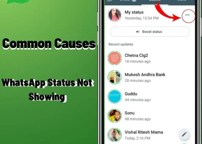 Common Causes of WhatsApp Status Not Showing