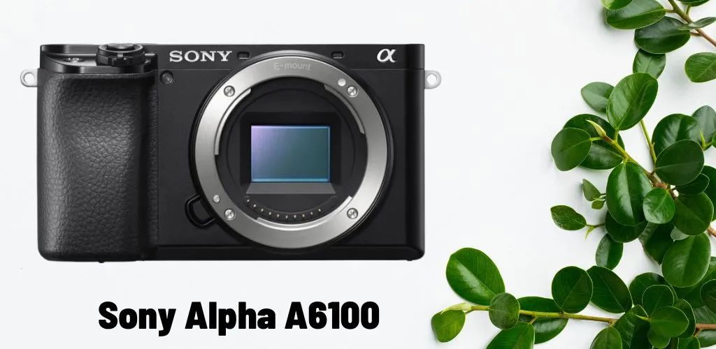 Sony Alpha A6100