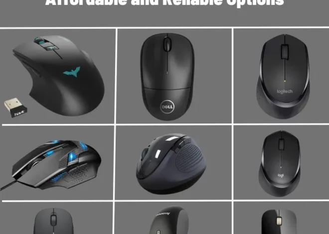 Top 10 Best Wireless Mouses Under 1000: Affordable and Reliable Options