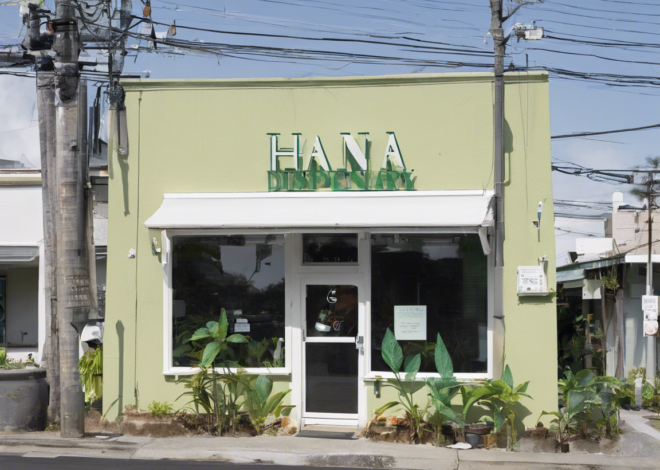 Hana Dispensary: Your Guide to the Best Cannabis Products